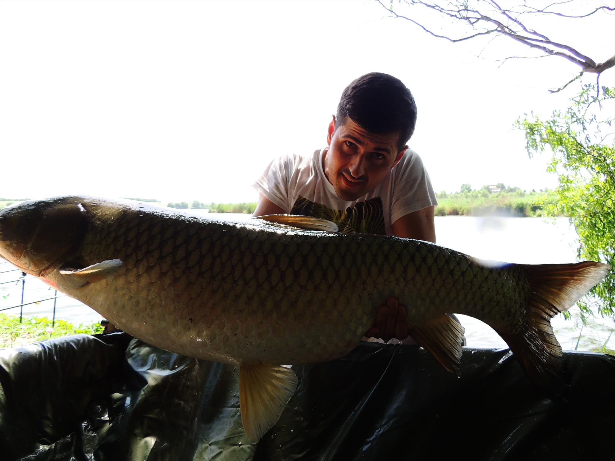 Tancabesti 14 - 16 iunie 2015 - dscn6753.JPG